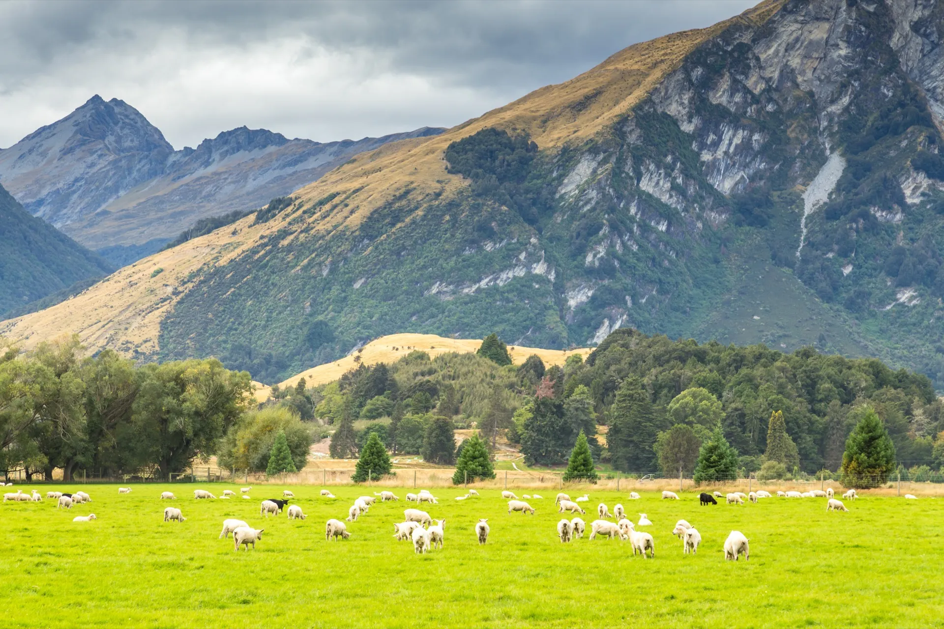 Queenstown landscape — Nexova is 100% New Zealand owned and operated