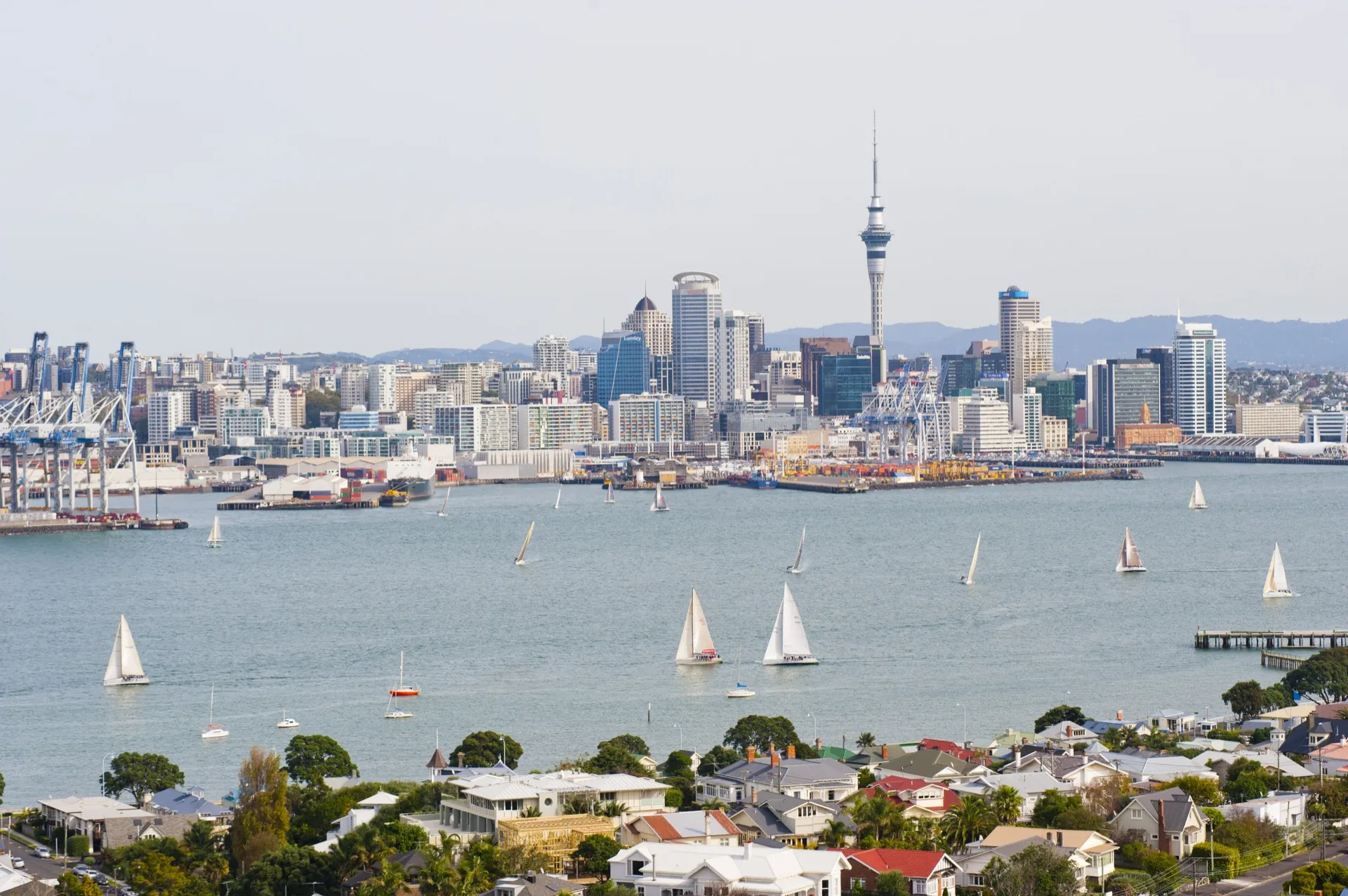 Auckland harbour — data analytics consulting for NZ businesses